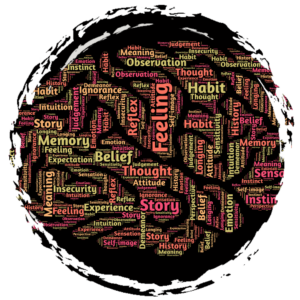 brain emotions memory habit